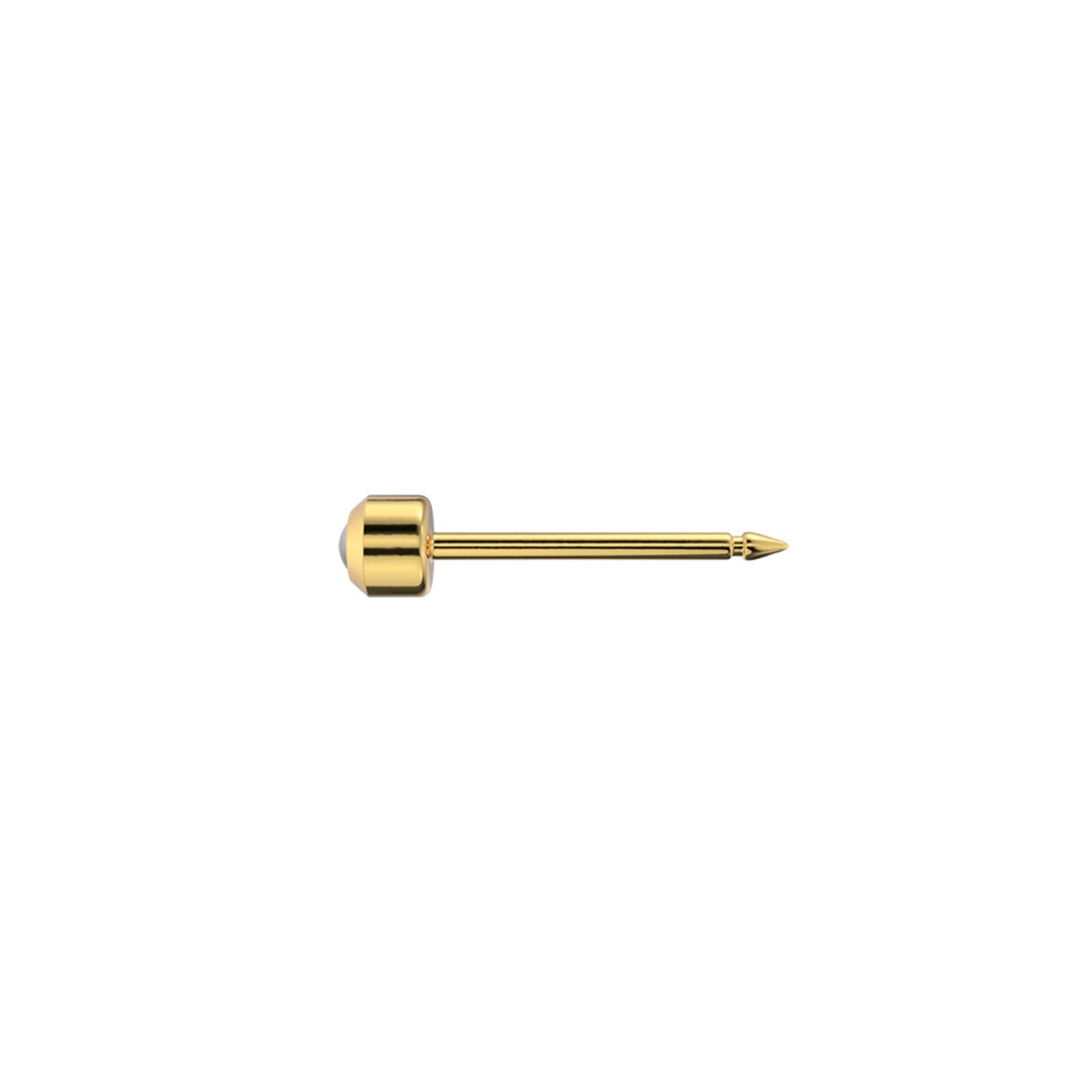 STUDEX auskari 144 - Bazel 2mm, balta pērle, Gold plated